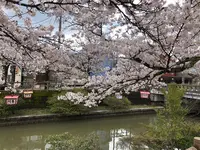 氷見市の写真・動画_image_612812