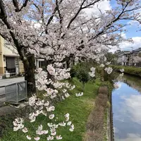 氷見市の写真・動画_image_612813