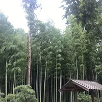 偕楽園の写真・動画_image_614539