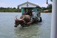 由布島の写真・動画_image_616807