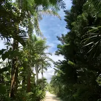 由布島の写真・動画_image_616808