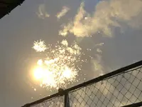 銅像堀公園の写真・動画_image_617930