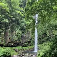 阿弥陀ケ滝の写真・動画_image_621508