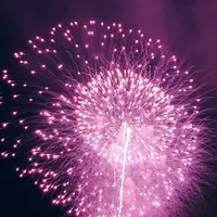 長岡まつり大花火大会の写真・動画_image_622453