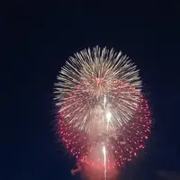 長岡まつり大花火大会の写真・動画_image_622455