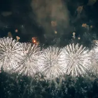 長岡まつり大花火大会の写真・動画_image_622456