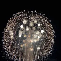 長岡まつり大花火大会の写真・動画_image_622457