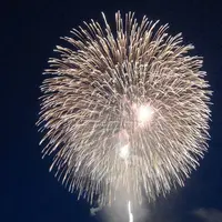 長岡まつり大花火大会の写真・動画_image_622458