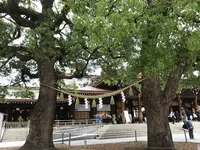 明治神宮の写真・動画_image_623344