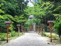 売布神社の写真・動画_image_623739