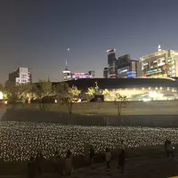 東大門/トンデムン/동대문の写真・動画_image_624522