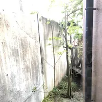 富貴温泉　富貴の森の写真・動画_image_624657