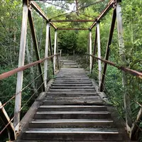 富貴温泉　富貴の森の写真・動画_image_624667