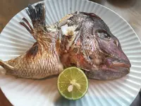 立ち飲み 汐彩の写真・動画_image_626075