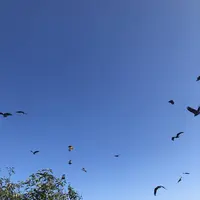 ホテル洲の崎風の抄の写真・動画_image_626985