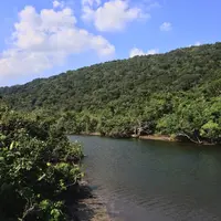 西表島の写真・動画_image_627762