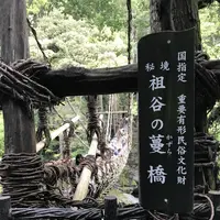 祖谷のかずら橋の写真・動画_image_628225