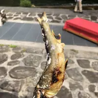 猊鼻渓の写真・動画_image_628393