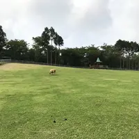 まかいの牧場の写真・動画_image_628490