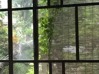 たけおごはんの写真・動画_image_629236