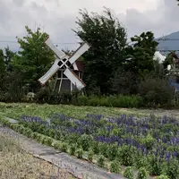 ハーブ庭園旅日記の写真・動画_image_629262