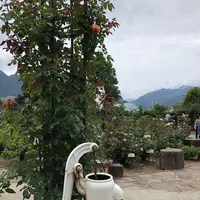 ハーブ庭園旅日記の写真・動画_image_629263
