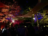 ROCK IN JAPAN FESの写真・動画_image_629858