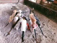 奥阿蘇田楽の写真・動画_image_630123