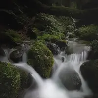 スッカン沢の写真・動画_image_630301