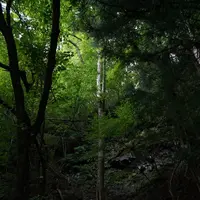 スッカン沢の写真・動画_image_630304