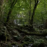 スッカン沢の写真・動画_image_630305