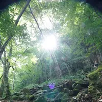 スッカン沢の写真・動画_image_630309