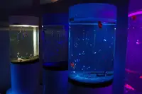 ミナーラの写真・動画_image_631469