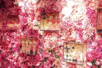 ミナーラの写真・動画_image_631471