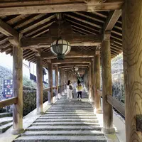 長谷寺の写真・動画_image_632314