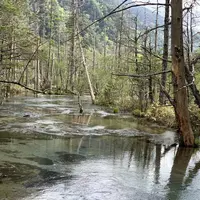 上高地の写真・動画_image_634939