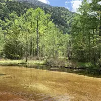 上高地の写真・動画_image_634940