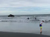 大磯海水浴場の写真・動画_image_634998