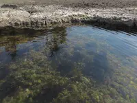 宿根木 たらい舟 はんぎりの写真・動画_image_635717