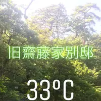 新潟市旧齋藤家別邸の写真・動画_image_635831