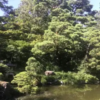 新潟市旧齋藤家別邸の写真・動画_image_635835