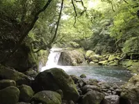 菊池渓谷の写真・動画_image_636612