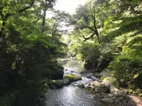 菊池渓谷の写真・動画_image_636613
