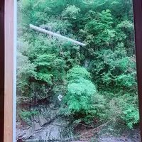 青葉の瀬の写真・動画_image_636623