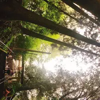 幣立神宮（幣立神社）の写真・動画_image_636627