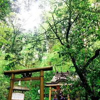 幣立神宮（幣立神社）の写真・動画_image_636629