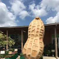 道の駅 木更津うまくたの里の写真・動画_image_636886