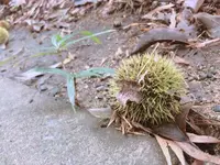 飯高山公園の写真・動画_image_636943