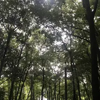 飯高山公園の写真・動画_image_636945