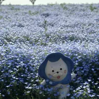 PALM GARDEN MAISHIMA by WBF（パームガーデン舞洲）の写真・動画_image_637655